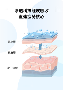 明目冷敷眼貼 - 6盒-2個月量包裝