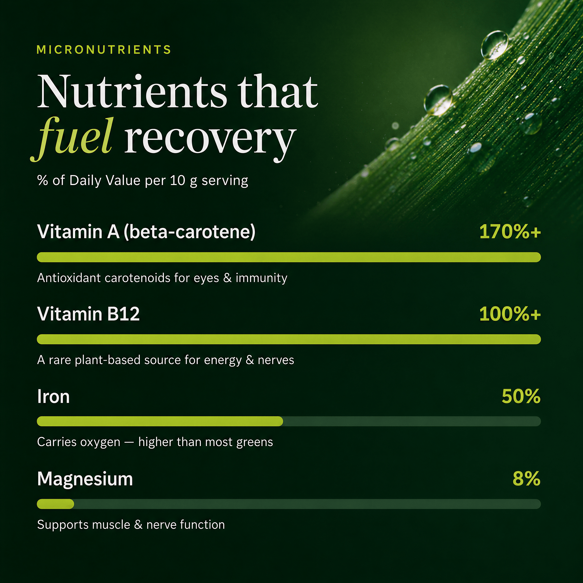 RECOVERYbits® Chlorella | Large Bag
