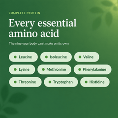 RECOVERYbits® Chlorella | Large Bag