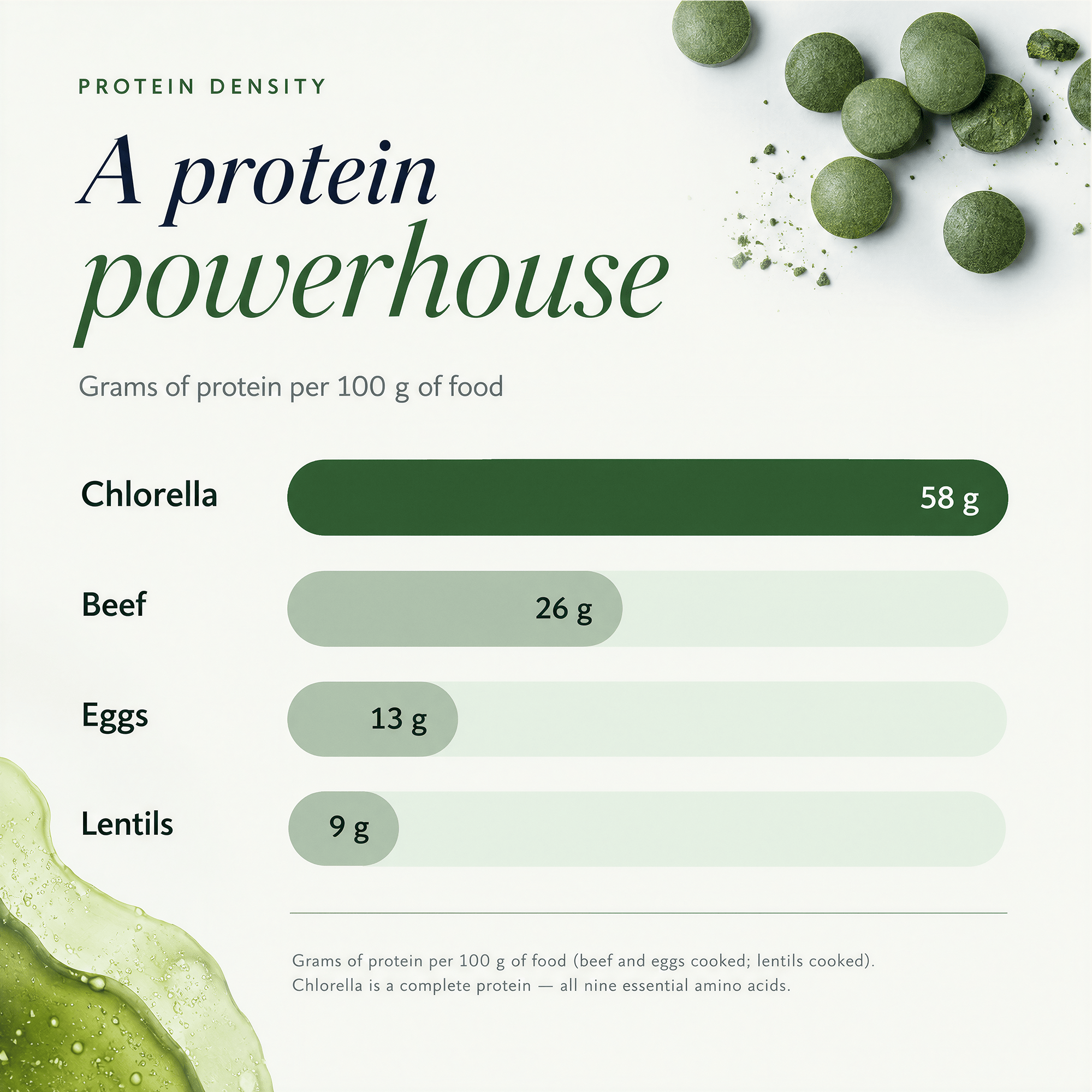 RECOVERYbits® Chlorella | Large Bag